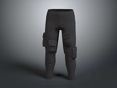 Dark Gray Cargo Pants With Multiple Pockets And Tapered Ankle Design For Casual Wear 3d model