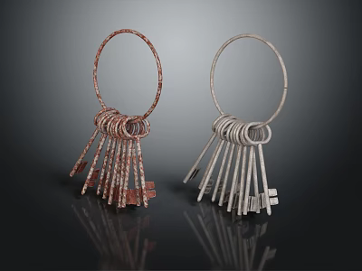 Copper And Silver Hoop Jewelry With Hanging Key Shaped Pendants Fashion Accessories 3d model