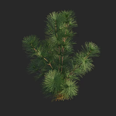 Modern antarctica car antecedin aquatic plants 3d model