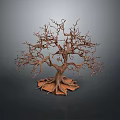 Isolated Leafless Tree With Thin Trunk And Exposed Roots On Dark Background