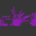 Ornamental Graceful Grass Plants With Feathery Plumes And Various Growth Poses For Landscaping