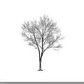 Scenic Outdoor Winter Arbor Tree With Frost Covered Bare Branches 3d model