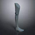 Modern Lightweight Comfortable Prosthetic Leg With Ergonomic Design For Daily Use
