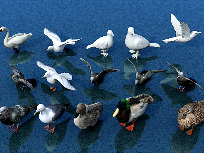 Flying Animals Including Swans Pigeons and Ducks with Flying and Standing Postures on Blue Ground 3d model
