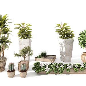 Modern potted plants flowers and plants balcony 3d model