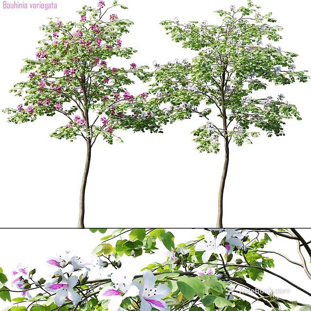 Decorative Tree Ornament Decoration Set With Pink Purple Flowers White Blossoms And Green Leaves 3d model 