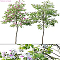 Decorative Tree Ornament Decoration Set With Pink Purple Flowers White Blossoms And Green Leaves