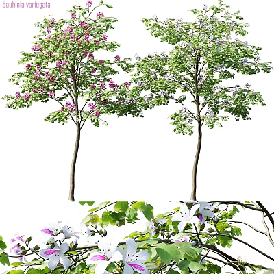 Decorative Tree Ornament Decoration Set With Pink Purple Flowers White Blossoms And Green Leaves 3d model