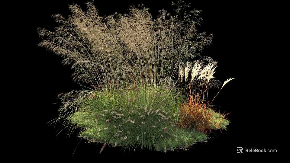 Diverse Feathery Grasses With Green And Brown Foliage In Natural Arrangement 3d model 