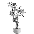 Bonsai Potted Plant With Lush Green Leaves And Multiple Branches For Indoor Decoration