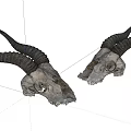 Ornamental Decor Set Featuring Long Horned Animal Skulls for Home