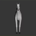 White Horse With Dark Spots Full Body Standing On Shiny Dark Background