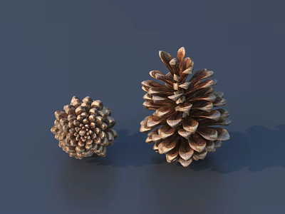 Natural Style Decorative Ornament Set With Two Brown And Beige Pinecones For Tabletop Decoration 3d model