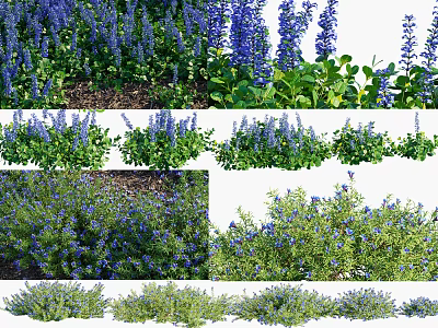 Vibrant Purple Flowers And Lush Green Plants With Various Garden Views And Natural Displays 3d model