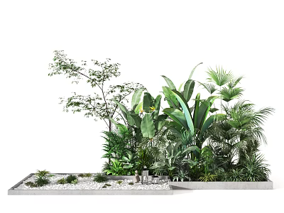 Various Green Plants Arrangement With Large Leaf Plants Small Plants And Pebble Decor 3d model