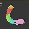 Detailed Close Up View Of Ancient Jawbone Organ With Curved Structure And Fossilized Teeth