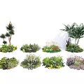 Diverse Flowers and Plants with Different Species in Garden Greenery Arrangements