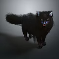 Black Cat With Fluffy Fur Green Eyes And White Ear Tips In Gray Background