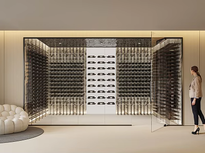 Elegant Modern Wine Cellar Interior Design With Glass Doors And LED Lighting Racks 3d model