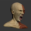 Human Head Anatomical Model Showing Detailed Facial Organs And Muscular Structure