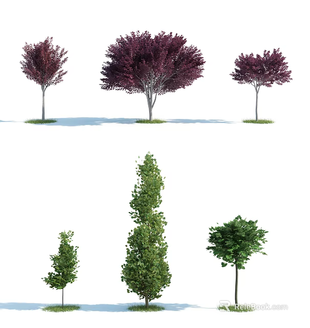 Ornamental Arbor Trees with Purple Green Leaves and Shaped Canopies for Landscape Design 3d model 
