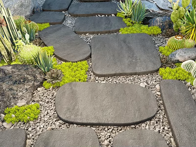 Garden Decor Path With Stone Stepping Stones Succulents Cacti Green Plants Pebbles And Rocks 3d model