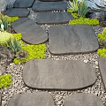 Garden Decor Path With Stone Stepping Stones Succulents Cacti Green Plants Pebbles And Rocks