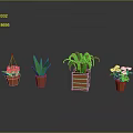 Various Hanging And Potted Plants With Green Leaves Purple White Flowers In Orange Brown Pots