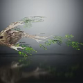 Floating Tree Root With Green Leaves And Branches Against Gray Background With Reflective Surface 3d model