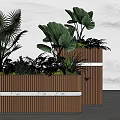 Modern Plant Combination in Wooden Planters with Large Leafy Plants and Palm Greenery