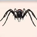 Assembly modular toy spider 3d model