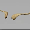 Two Natural Animal Horns With Textured Surface On Dark Background And Reflection