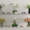 Colorful Flowers in Vases Including Orchids Roses Arranged on Shelves with Decorative Balls