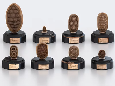 Artistic Various Shaped Sculptures Display On Black Bases With Name Plates 3d model