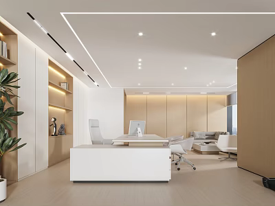 Minimalist Modern Office Interior With White Desk Office Chairs Bookshelves Green Plant And Wooden Elements 3d model