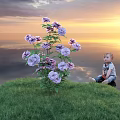 Purple Flowers On Green Grass With Child Sitting Nearby Against Sunset Sky With Clouds