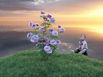 Purple Flowers On Green Grass With Child Sitting Nearby Against Sunset Sky With Clouds 3d model