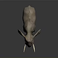 Realistic 3D Elephant Model With Detailed Features And White Tusks 3d model