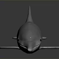 Spotting Dolphin Dolphin Cartoon Dolphin Animation Dolphin Animation Dolphin Animation Character Game Character 3d model