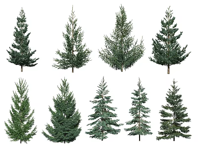 Various Arbor Tree Varieties With Different Growth Shapes And Lush Green Foliage 3d model