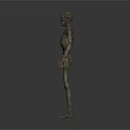 Animal Skeletons Three Figurines Standing Hand in Hand on White Surface