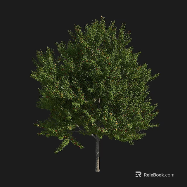 Beautiful Arbor With Lush Green Foliage Strong Straight Trunk And Dense Canopy 3d model 