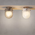 Modern Ceiling Mounted Chandeliers With Glass Shades For Indoor Lighting
