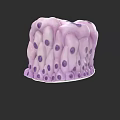 3D Anatomical Structure of Pelvic Organs With Purple Cellular Details Rendering