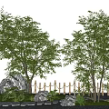 Lush Arbor Trees in Garden Landscape with Bamboo Fence Stones and Stone Path