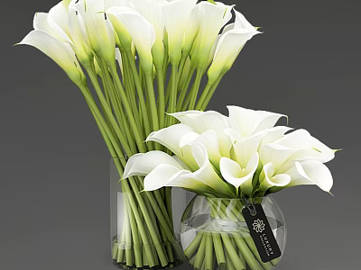 Decorative White Calla Lilies Arranged in Two Glass Vases with Green Stems and Black Tag 3d model