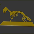 Detailed Animal Skeleton Model Display On Brown Base With Dark Background 3d model