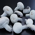 Fresh White Mushrooms with Whole and Sliced Pieces on Dark Surface