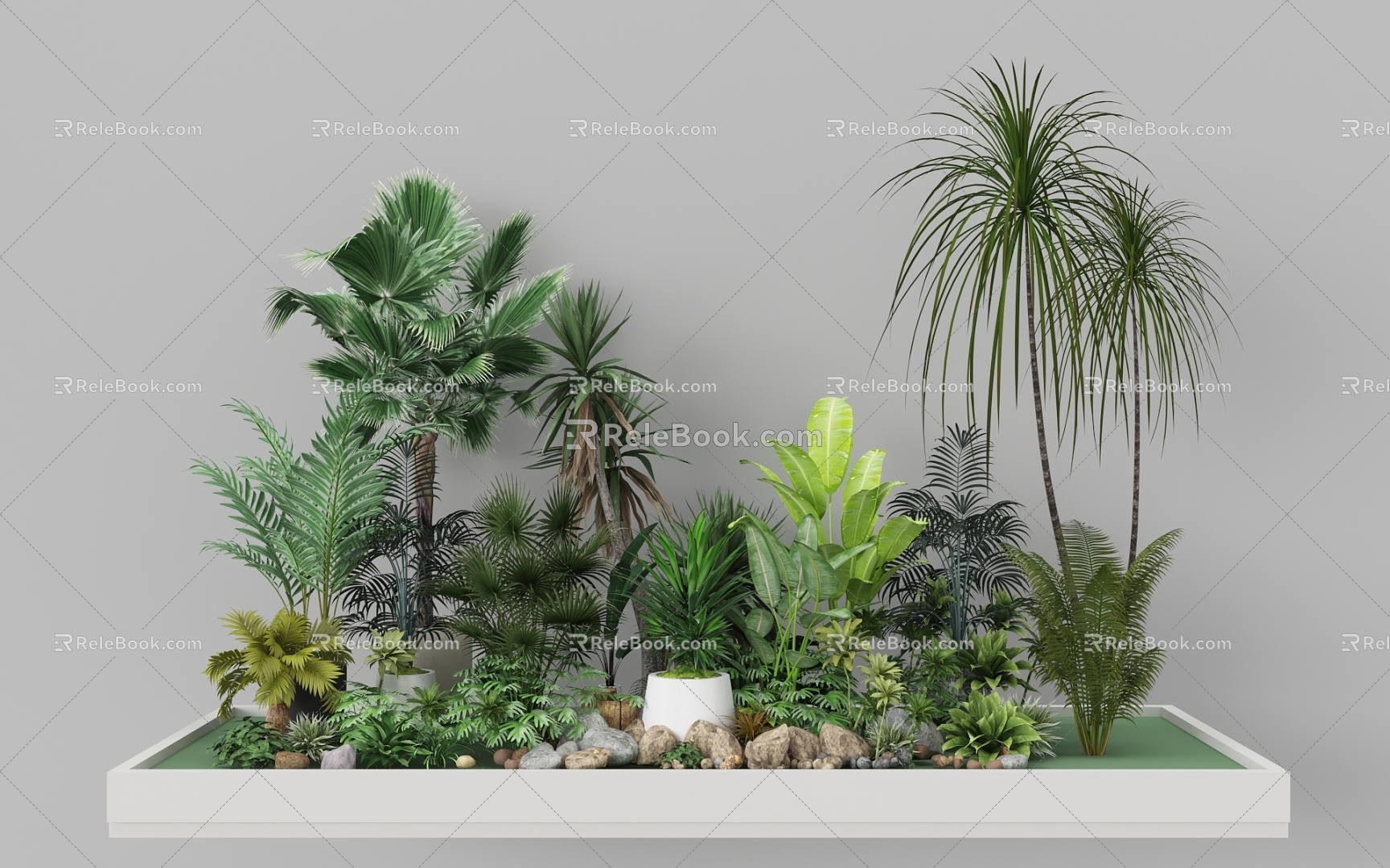 Indoor Landscape Landscape Fern Plant Heap Micro Terrain Tropical Plants model