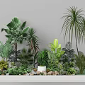 Small Garden Landscape with Diverse Green Plants Palm Trees Ferns and Stone Decorations